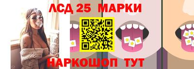 тгк Новодвинск