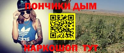 тгк Новодвинск