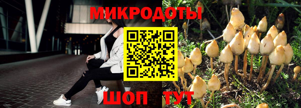 Тавда  Псилоцибиновые грибы Cubensis  Вход с VPN  Псилоцибиновые грибы мицелий 
