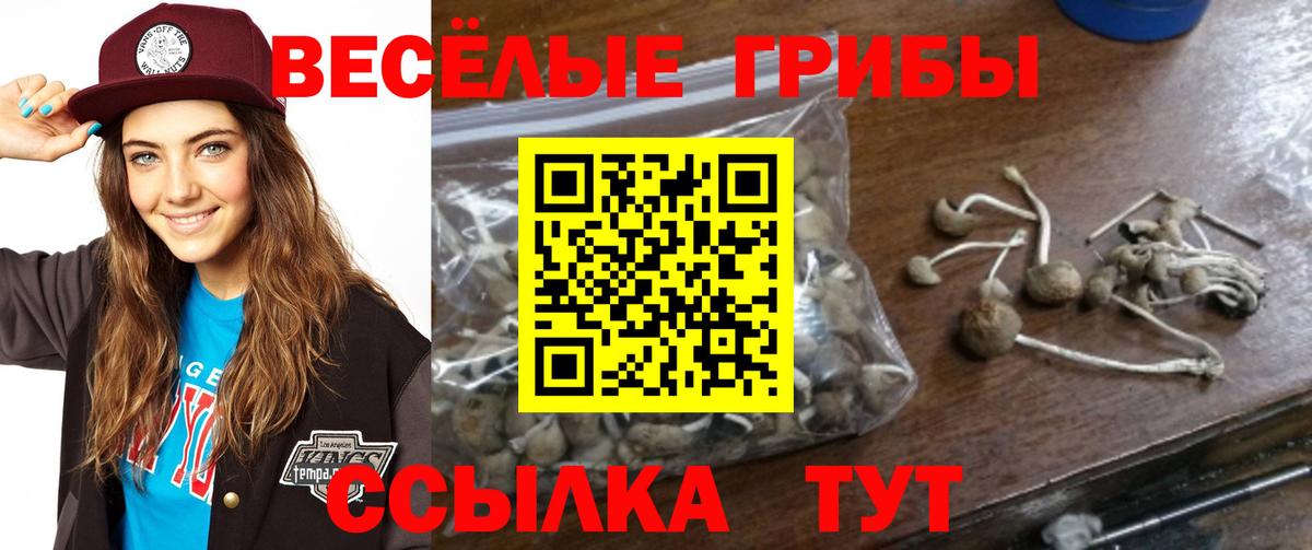 Псилоцибиновые грибы GOLDEN TEACHER Тавда