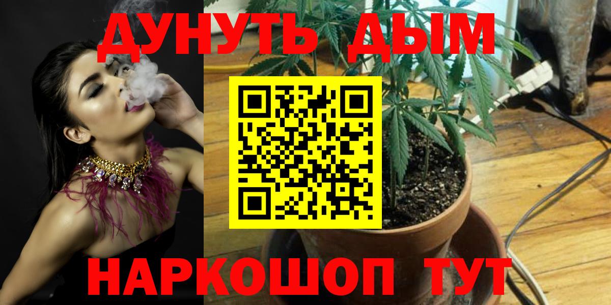 Тавда  Канабис индика  Каннабис OG Kush  Бошки марихуана ГИДРОПОН  Вход с VPN  МАРИХУАНА Amnesia 