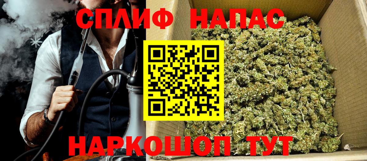 Каннабис планчик Тавда